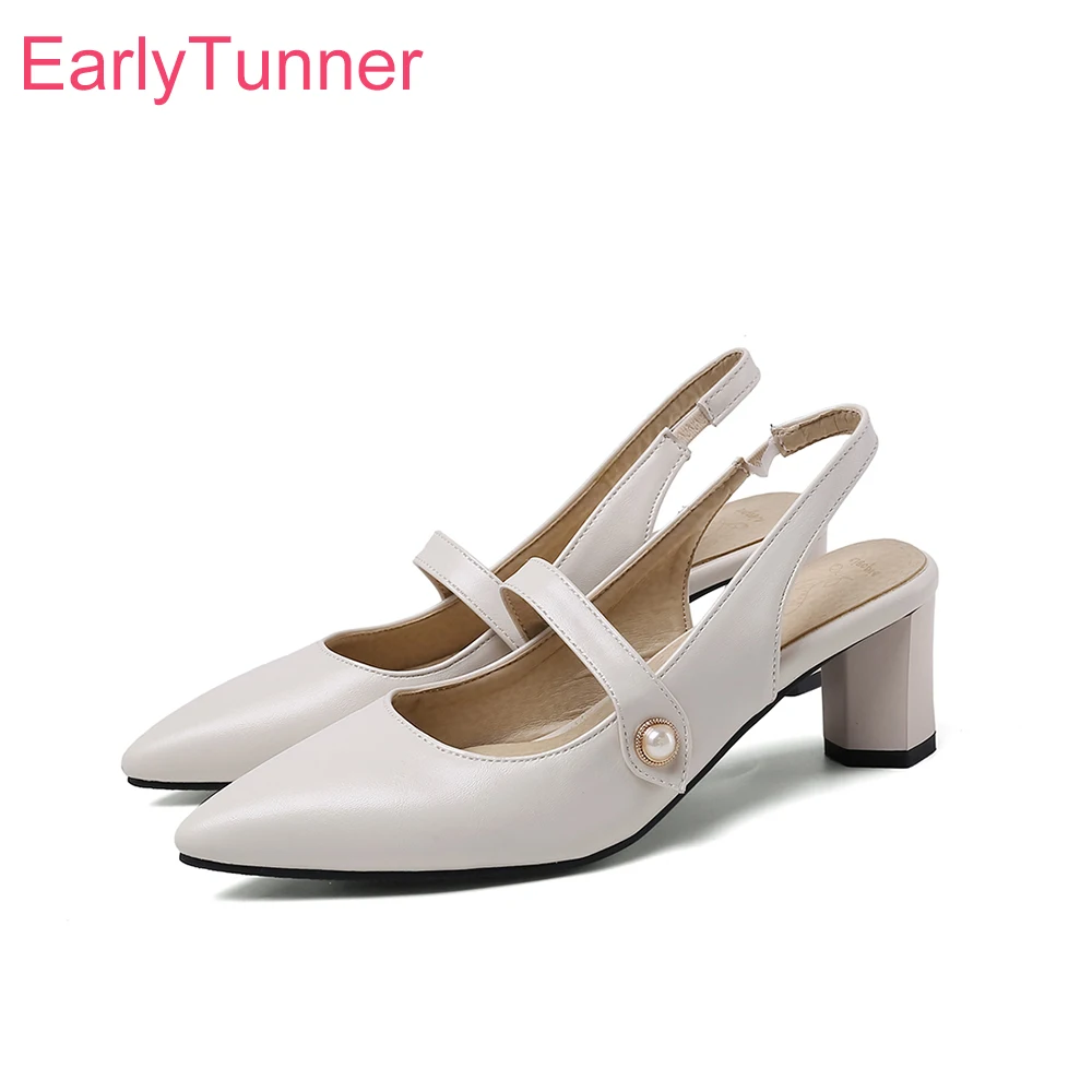 Summer New Elegant Beige Black - Slingback Heel Formal 评论和价格